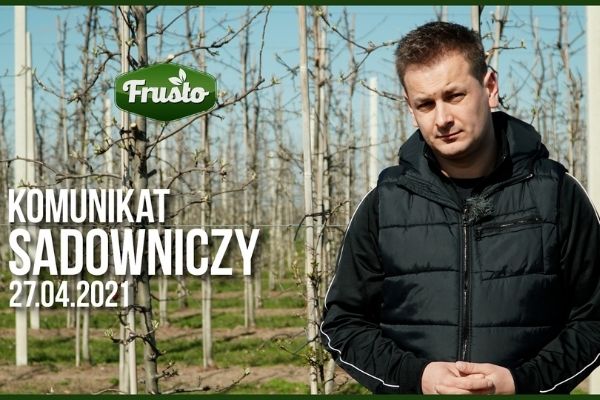 Komunikat sadowniczy 27.04.2021 / przymrozki, choroby jabłoni i gruszy